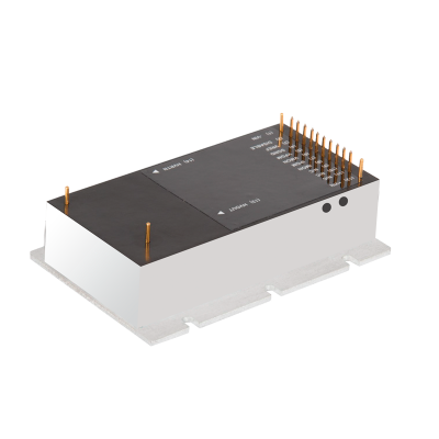 Musktool-THRL6989 high voltage power supply Input  +24VDC  Output  Rated Voltage