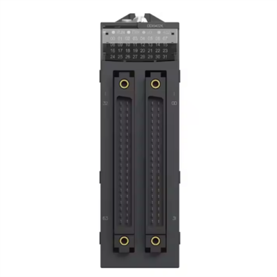 Musktool-New & Original PLC Schneider Modicon X80 Electric 64 Inputs 24V DC Positive Discrete Input Module BMXDDI6402K
